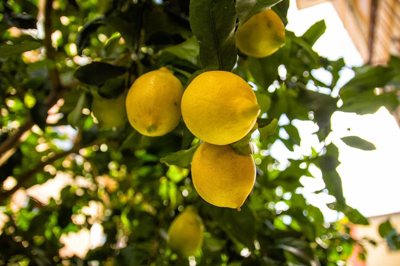 דירות ססטרי לבאנטה Fior Di Limone מראה חיצוני תמונה